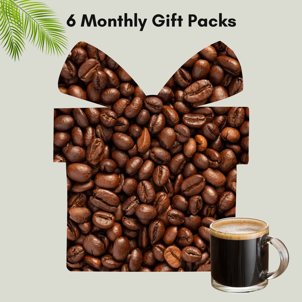 6 Month Gift Package